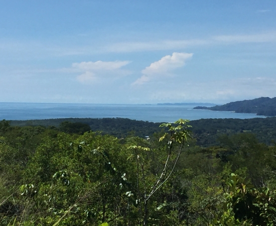 whale tale view ocean dulce pacifico real estate for sale